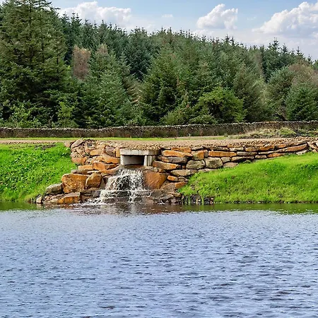 Holiday home Swallow - Uk51347