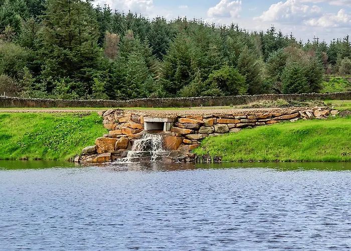 Holiday home Swallow - Uk51347