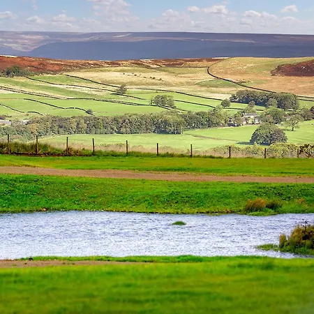 Swallow - Uk51347 * Draughton