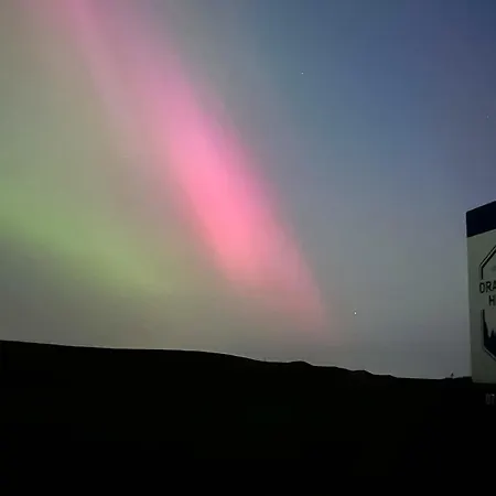 Swallow - Uk51347 * Draughton