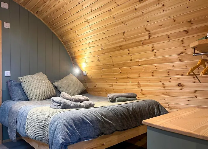 Swallow - Uk51347 * Draughton