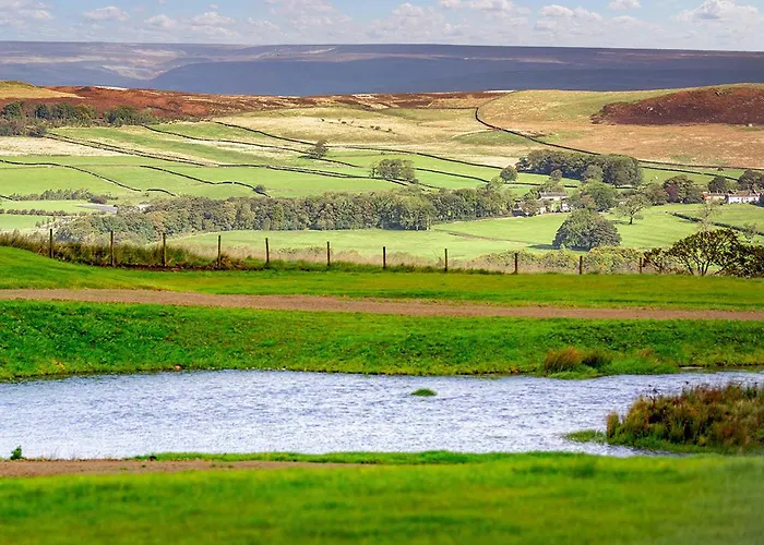 Swallow - Uk51347 * Draughton