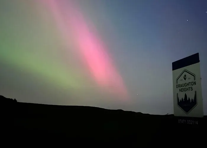 Swallow - Uk51347 * Draughton